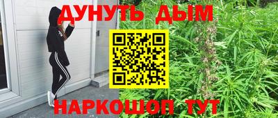 mdpv Можга