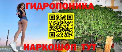 mdpv Можга