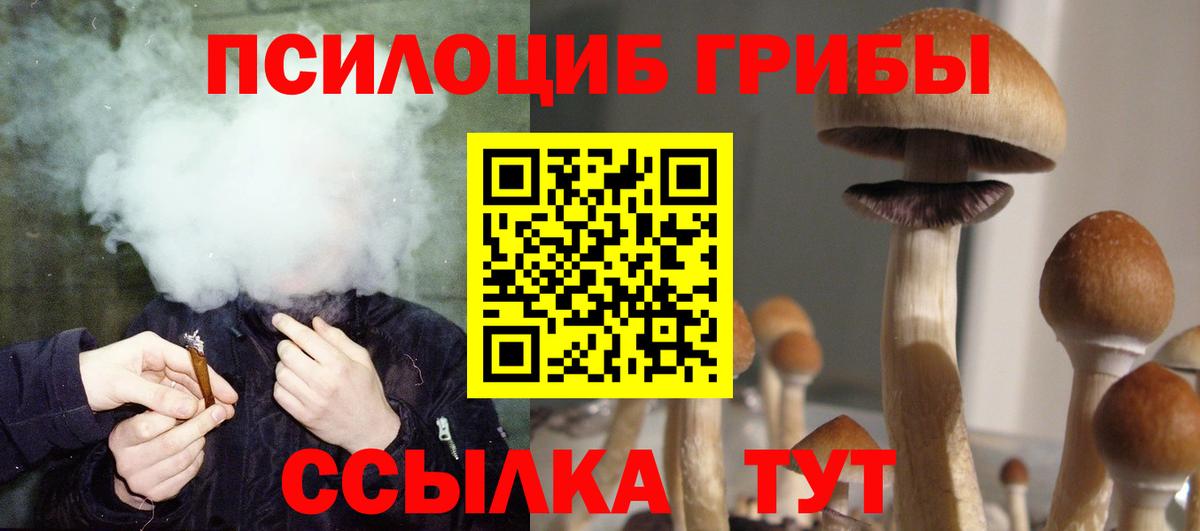 Псилоцибиновые грибы GOLDEN TEACHER Энгельс